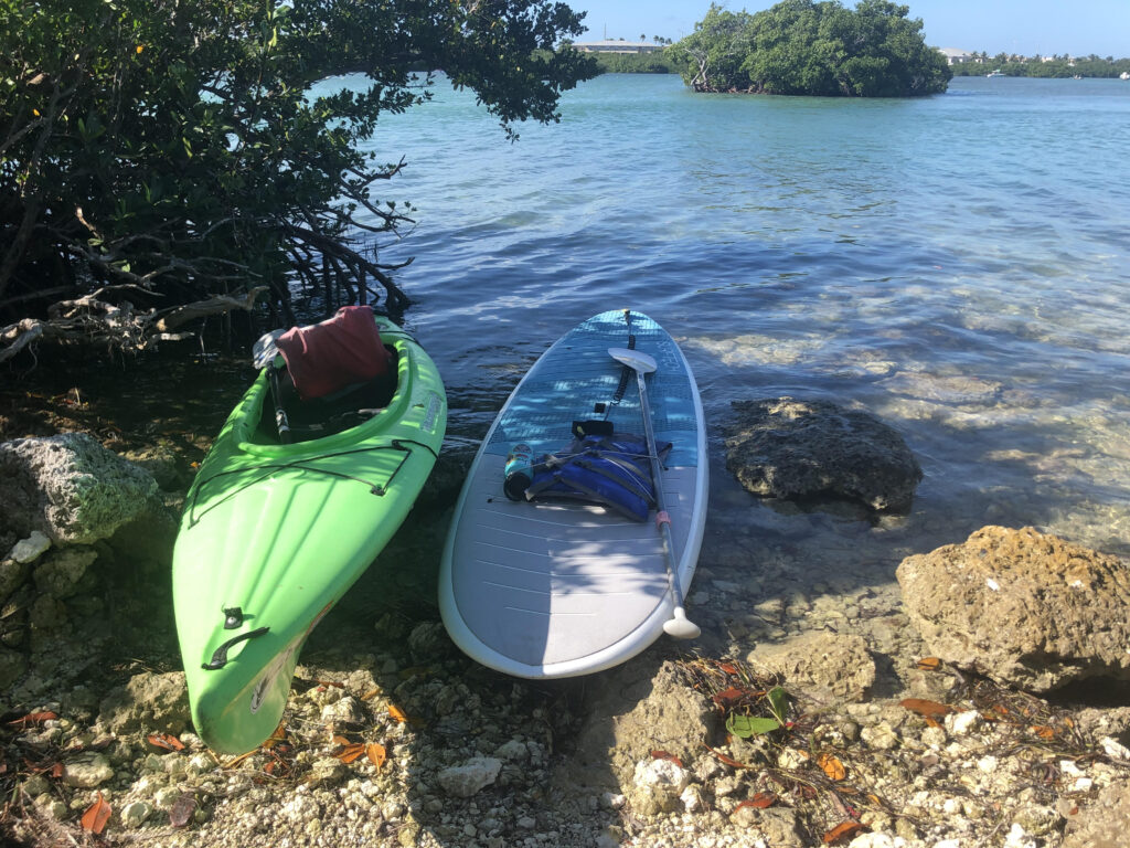 SUP and kayaking in the Key West mangroves