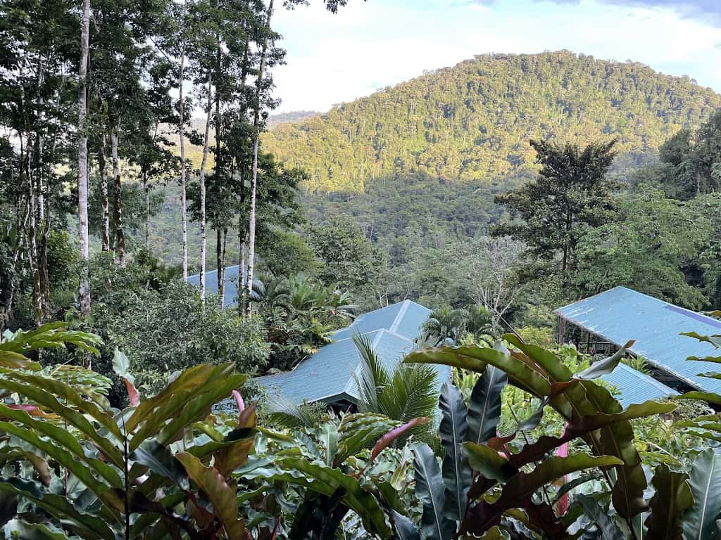Rainforest view in Costa Rica