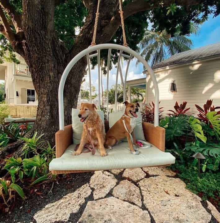Kimpton Pet Friendly Hotel in Key 
West
